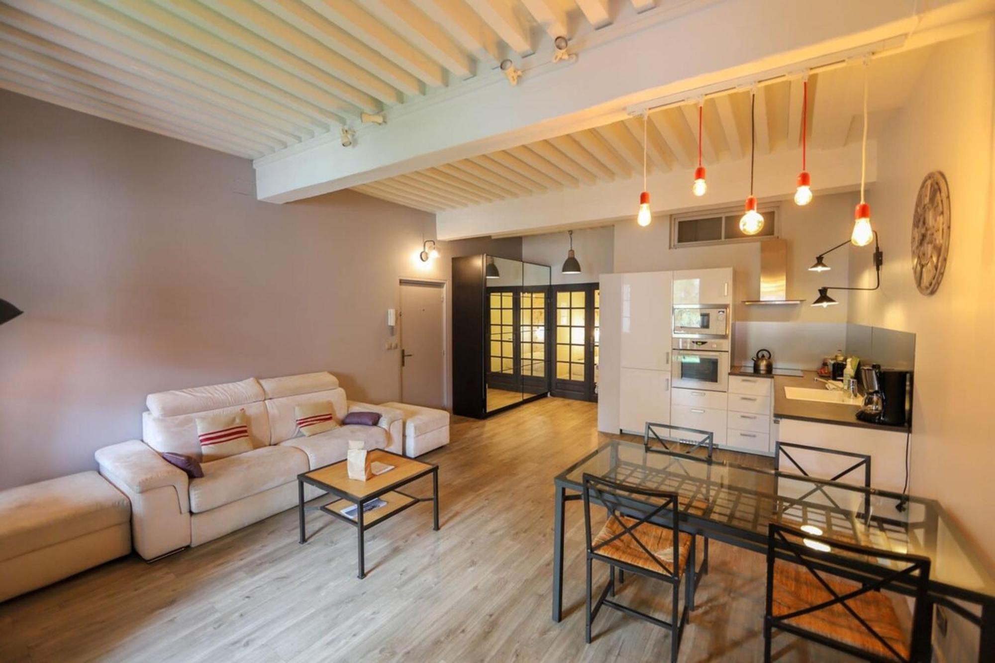 55 M2 Apart With Big Terrace In Annecy Downtown Bagian luar foto
